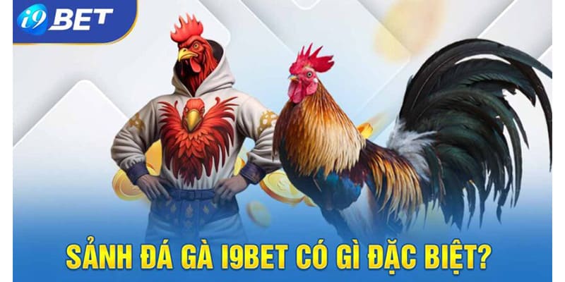 4 ưu điểm chỉ có tại sảnh đá gà i9bet